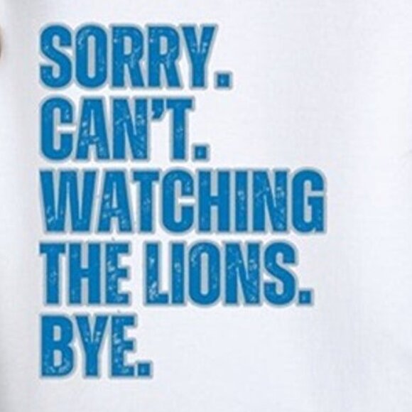 Detroit Football Crewneck Sweatshirt Retro Lions Game Day Fan Cozy Apparel 17 - Picture 2 of 6